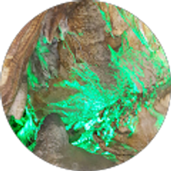 Profile photo of Chris kat