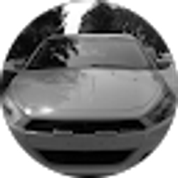 Profile photo of Payton Hays