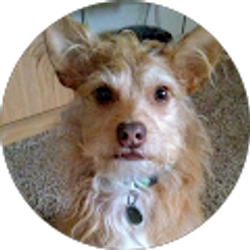 Profile photo of Eva Ducar