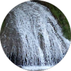 Profile photo of Robin Morrison