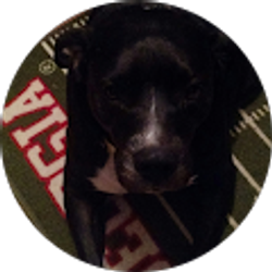 Profile photo of gamer camouflage