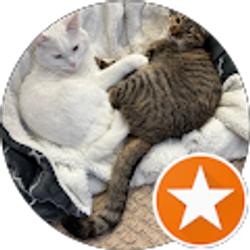 Profile photo of temo smith