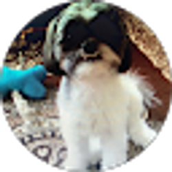 Profile photo of Paty62