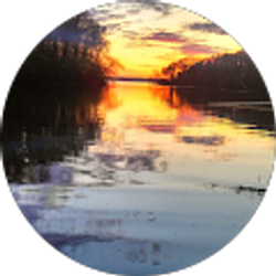 Profile photo of Janis Janssen