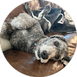 Profile photo of Amber Humphrey