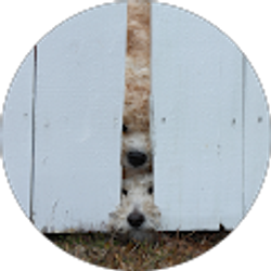 Profile photo of andd1016