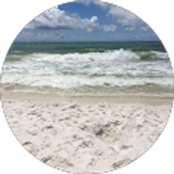 Profile photo of Worth Shelton