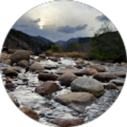 Profile photo of Rickie Koehler