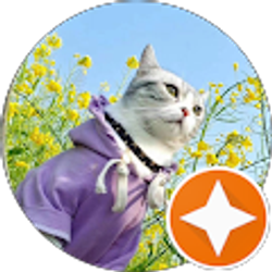 Profile photo of Jingmin Chen