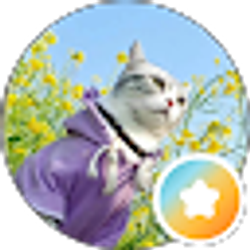 Profile photo of Jingmin Chen