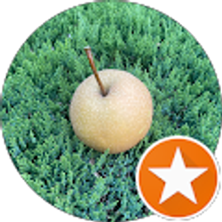 Profile photo of Houman Taherian