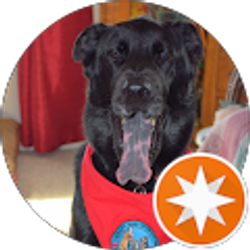 Profile photo of Steve Richards