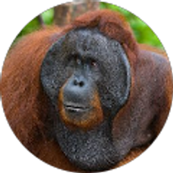 Profile photo of John Hanson