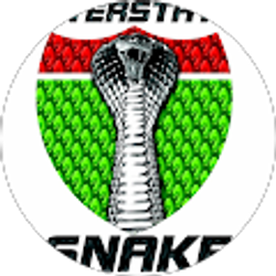 Profile photo of Piccaso Teda