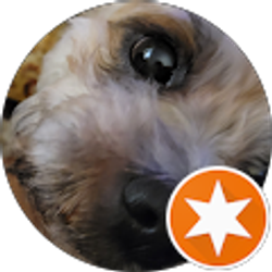 Profile photo of Alan Centa