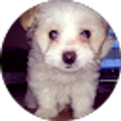 Profile photo of William Rodriguez