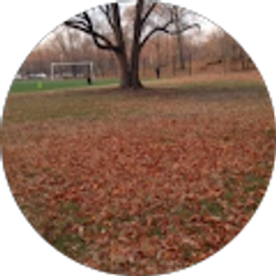 Profile photo of DIANA SALADIN