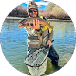 Profile photo of Jeff Ogard