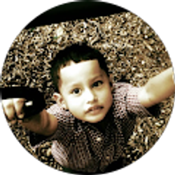 Profile photo of Mario Guevara