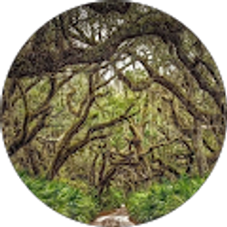 Profile photo of Wendy Durrance