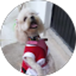 Profile photo of Flavio ubaldo Gonzalez olivares