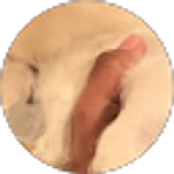 Profile photo of brian johnson