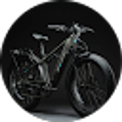 Profile photo of XPeak2 Rider