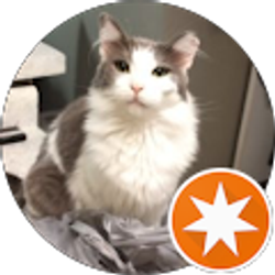 Profile photo of JP Cruz