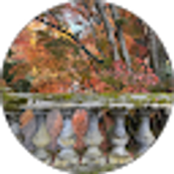 Profile photo of Rowe Bonn