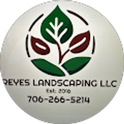 Profile photo of Jose Reyes