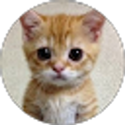 Profile photo of Stace o