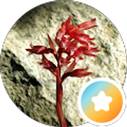 Profile photo of Amy K.