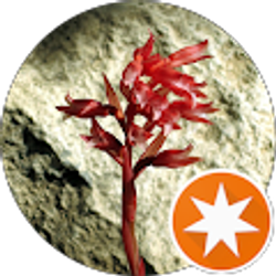 Profile photo of Amy K.