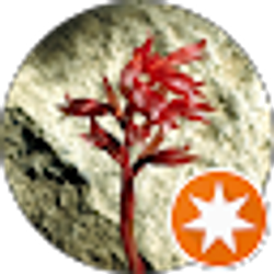 Profile photo of Amy K.