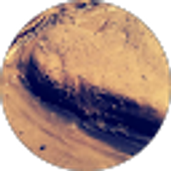 Profile photo of Marcelina Hernandez