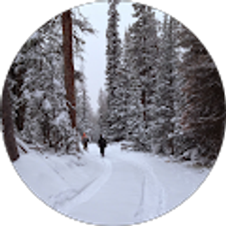 Profile photo of luke clemente