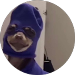 Profile photo of Mesha