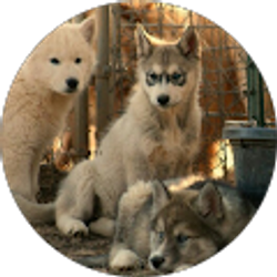 Profile photo of Morgan Ray