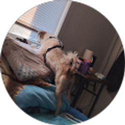 Profile photo of Jose Garcia