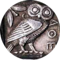 Profile photo of Layla Shaar