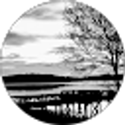 Profile photo of Teresa Grasser
