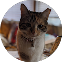 Profile photo of Lisa A