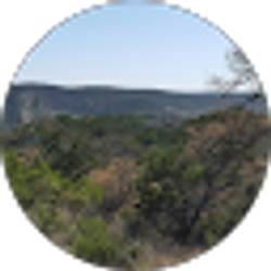 Profile photo of Daniel Guajardo