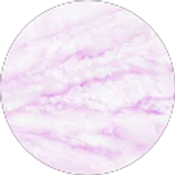 Profile photo of shayma saoud