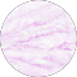 Profile photo of shayma saoud