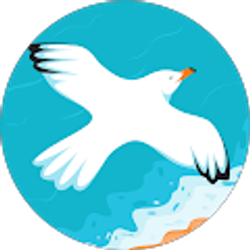 Profile photo of Julie King