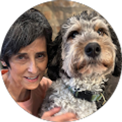 Profile photo of joanne armenio