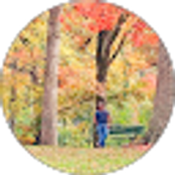 Profile photo of Kamrul Alam