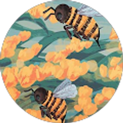 Profile photo of Haidan Neff