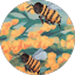 Profile photo of Haidan Neff